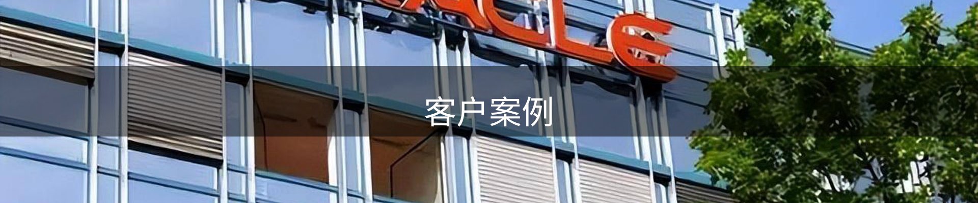 客户案例